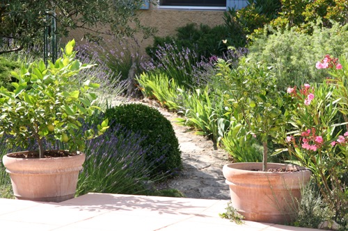 Steps to pool